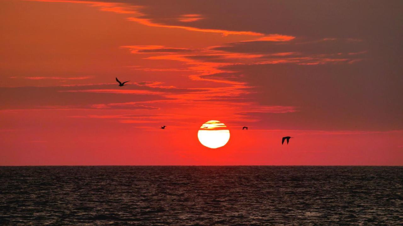 Free Spirit Ecuador, Puerto Engabao Otel Dış mekan fotoğraf